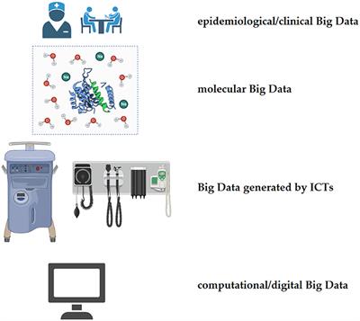 Big Data in Cardiology: State-of-Art and Future Prospects